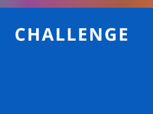 Challenge Area S3